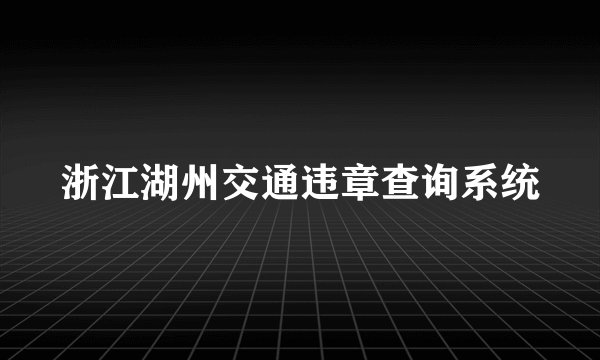 浙江湖州交通违章查询系统