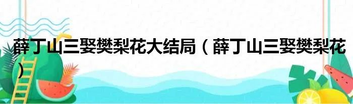 薛丁山三娶樊梨花大结局（薛丁山三娶樊梨花）
