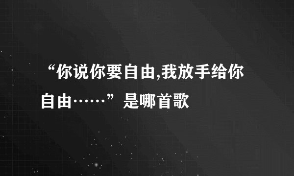 “你说你要自由,我放手给你自由……”是哪首歌