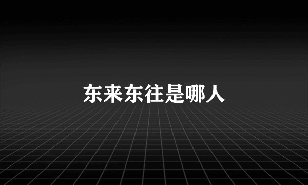 东来东往是哪人