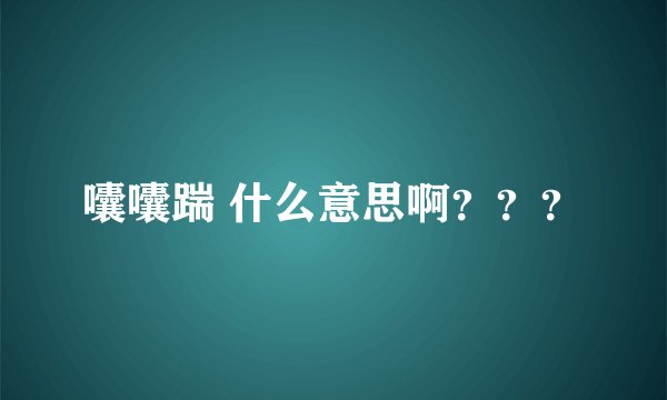 囔囔踹 什么意思啊？？？