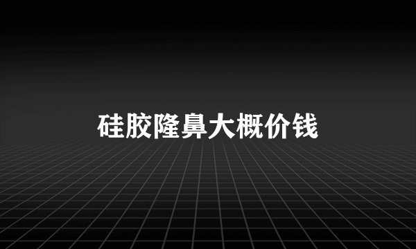 硅胶隆鼻大概价钱