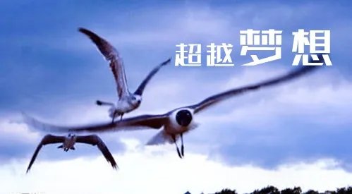 2020青海大学录取分数_青海大学各省录取分数线查询