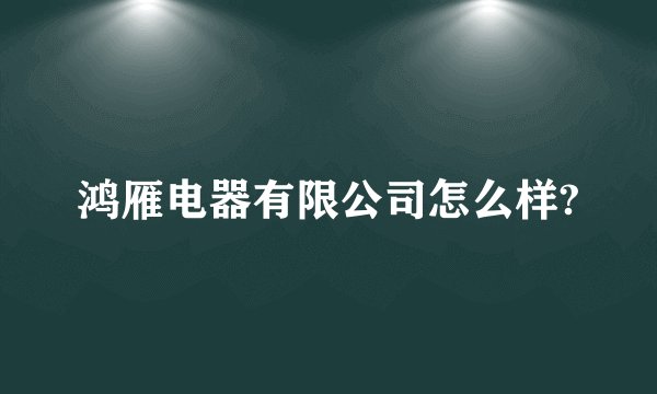 鸿雁电器有限公司怎么样?