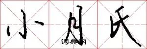 小月氏