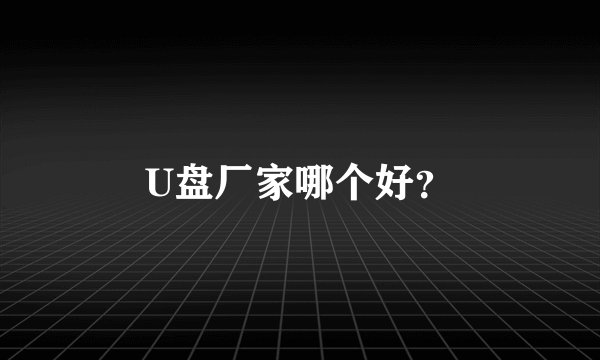 U盘厂家哪个好？