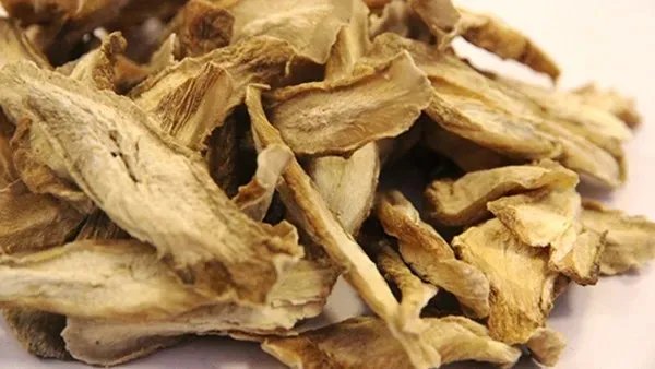 桑根的作用与功效 桑根现代应用方法有什么