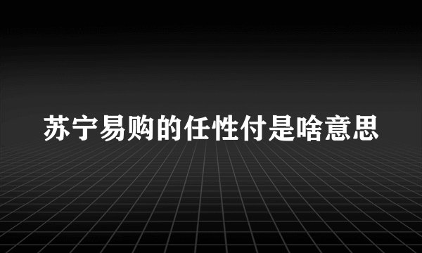 苏宁易购的任性付是啥意思