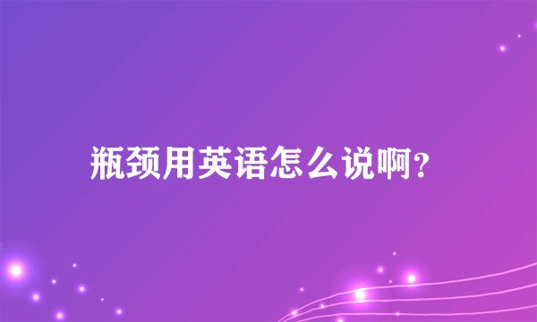 瓶颈用英语怎么说啊？