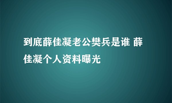 到底薛佳凝老公樊兵是谁 薛佳凝个人资料曝光
