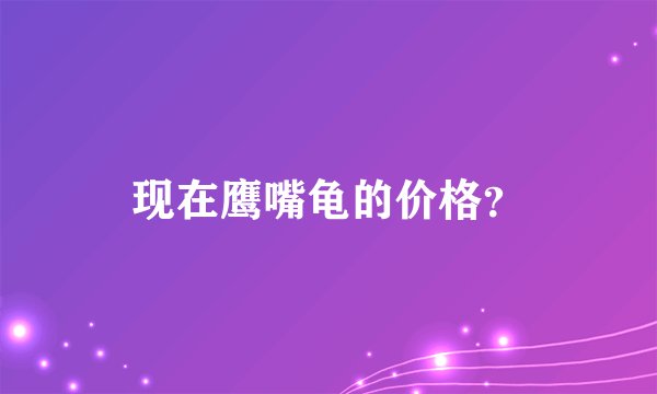 现在鹰嘴龟的价格？