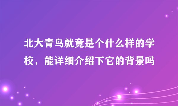 北大青鸟就竟是个什么样的学校，能详细介绍下它的背景吗