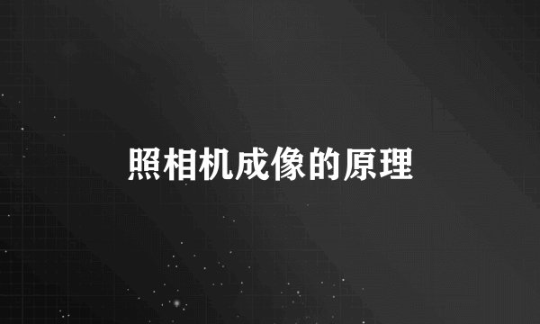 照相机成像的原理