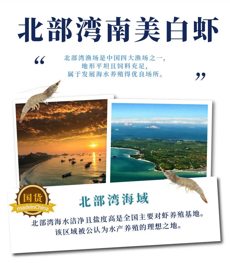 对虾价格多少钱一斤