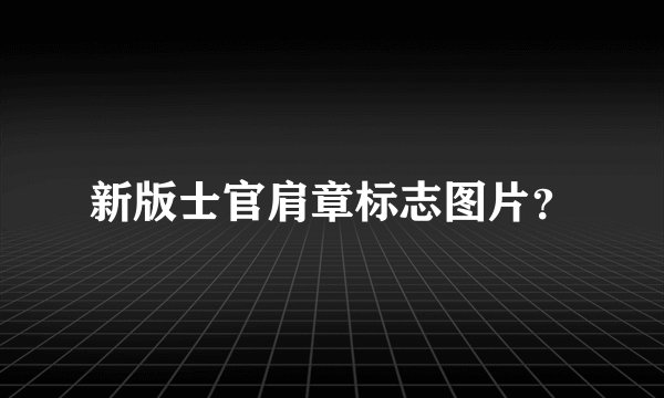 新版士官肩章标志图片？