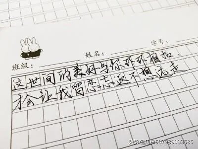 愿世间美好，与你环环相扣是什么意思是什么意思？