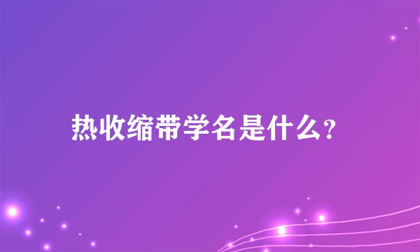 热收缩带学名是什么？