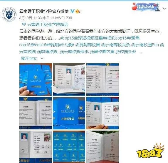 “大象驾驶证”网络走红!到底是啥东东?