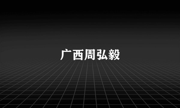 广西周弘毅