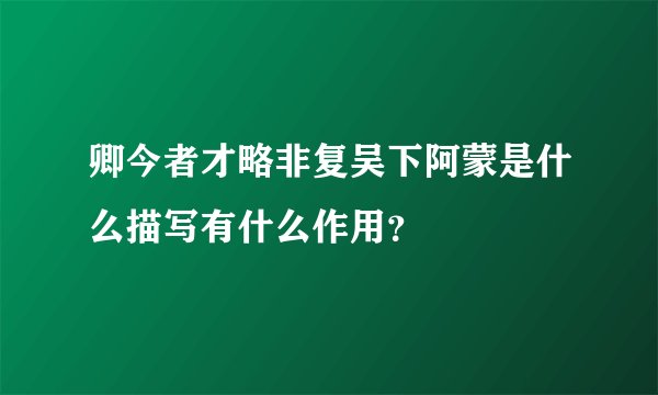 卿今者才略非复吴下阿蒙是什么描写有什么作用？