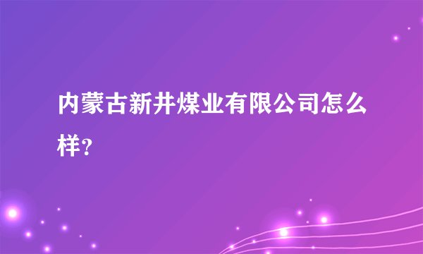 内蒙古新井煤业有限公司怎么样？