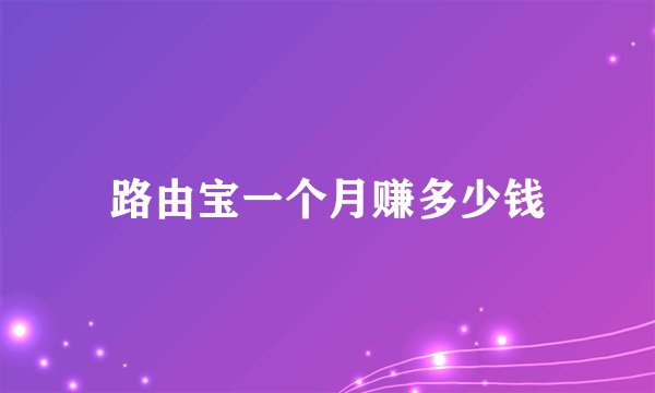 路由宝一个月赚多少钱