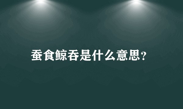 蚕食鲸吞是什么意思？