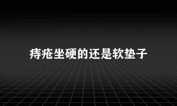 痔疮坐硬的还是软垫子