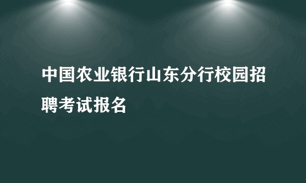 中国农业银行山东分行校园招聘考试报名