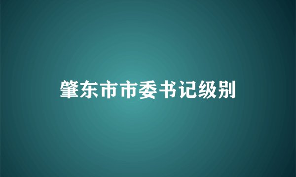 肇东市市委书记级别