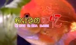 朗朗上口的歌曲有哪些?