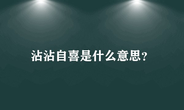 沾沾自喜是什么意思？