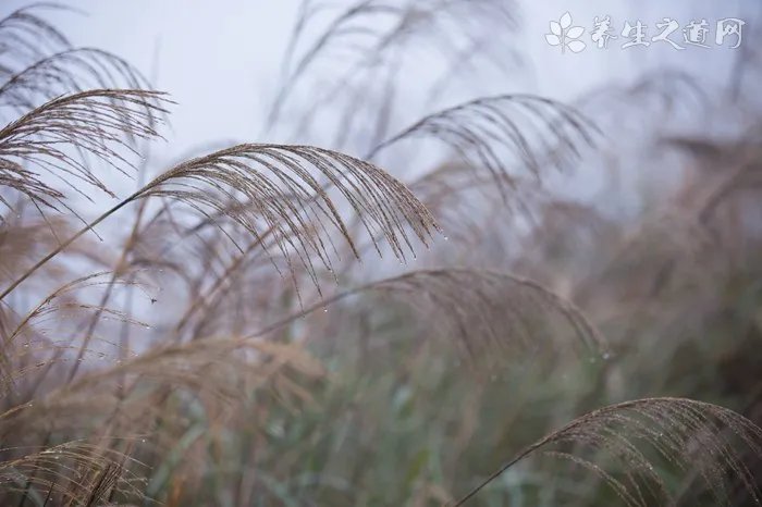 冬天户外运动注意事项