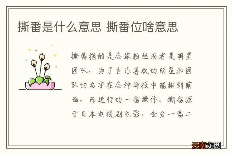 撕番是什么意思 撕番位啥意思