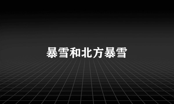 暴雪和北方暴雪