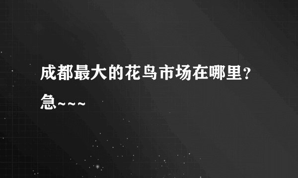 成都最大的花鸟市场在哪里？急~~~