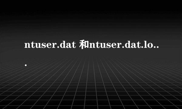 ntuser.dat 和ntuser.dat.log是什么文件 应该在什么位置