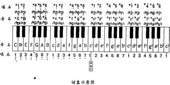 61键电子琴对应的数字琴键