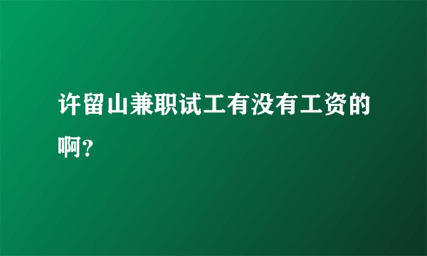 许留山兼职试工有没有工资的啊？