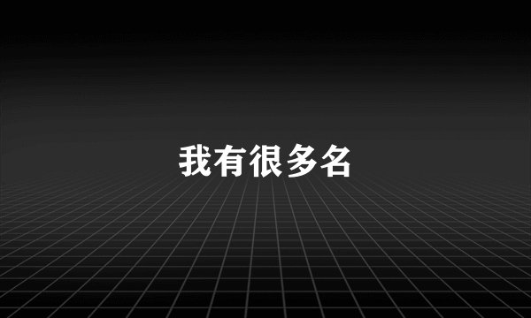 我有很多名