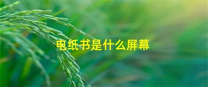 电纸书是什么屏幕