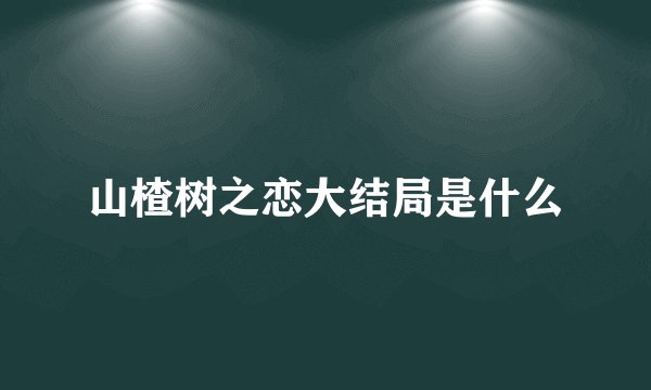 山楂树之恋大结局是什么