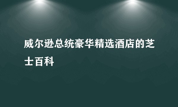威尔逊总统豪华精选酒店的芝士百科