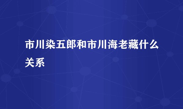市川染五郎和市川海老藏什么关系