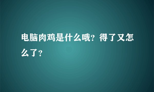 电脑肉鸡是什么哦？得了又怎么了？