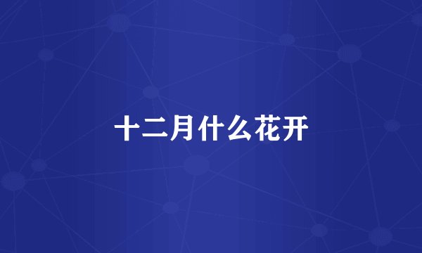 十二月什么花开