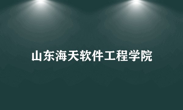 山东海天软件工程学院