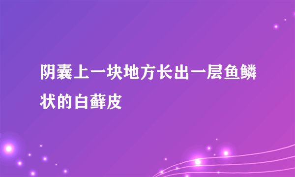 阴囊上一块地方长出一层鱼鳞状的白藓皮