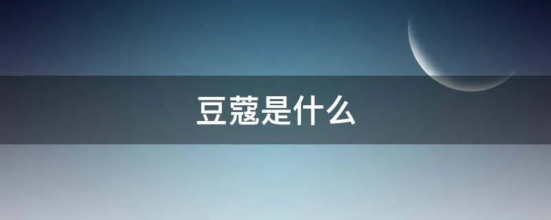 豆蔻是什么