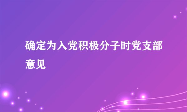 确定为入党积极分子时党支部意见
